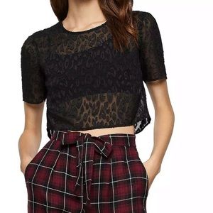 BCBGeneration Sheer Cheetah Cropped Top Size XS